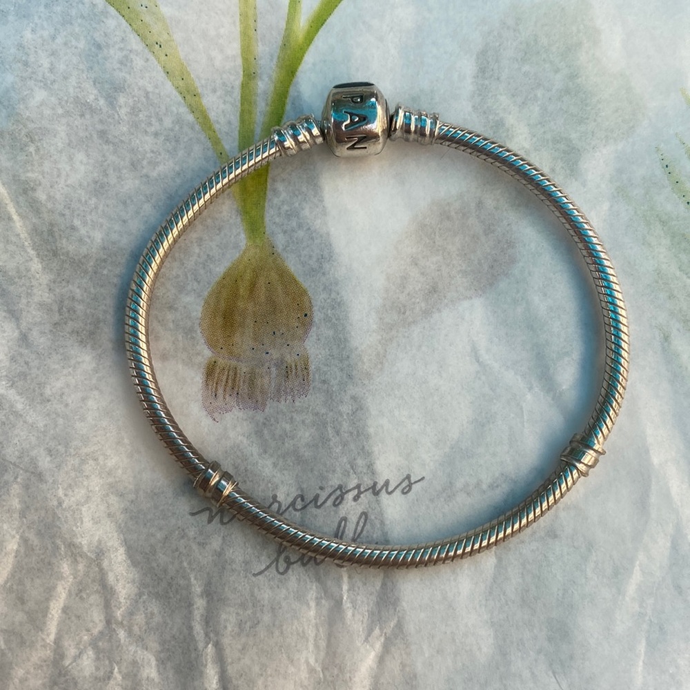 Pandora Bracelet